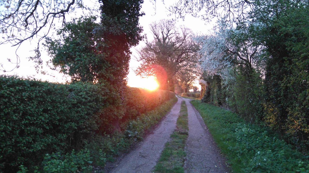 runanninarun's tweet image. 5:40am me and this! Perfect. 10k on trail #runshine.. 8k yesterday 6k Monday, all is good! 😸😸😸😸😸😸😸😸😸😸😸