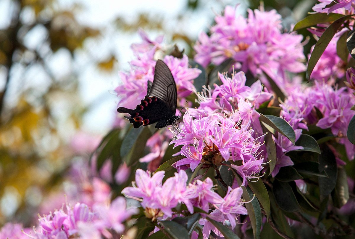 Friendly Nanning tweet media