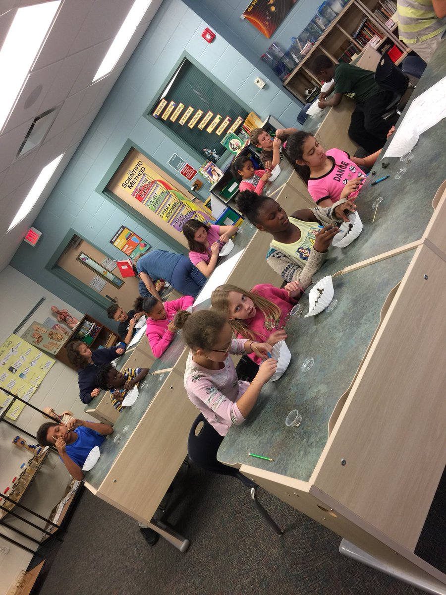 MrNereim's tweet photo. Awesome time in the STEM lab with the Owl Pelets!! 🦉🐀 #STEMRoom #EMSPride @EMSpride @Cullen4EDU https://t.co/aNN0eTEHCU
