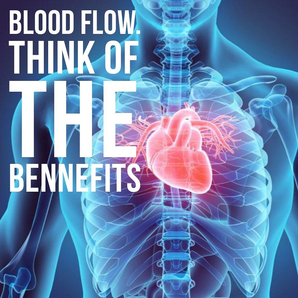 HGenics's tweet image. Everyone knows the cardiovascular systems is one of the most vital systems of the body. Better blood flow leads to many health bennefits, some of them quite fun 😉

#sexualhealth #health #cardio #LP9 #bloodflow #nutrition #run