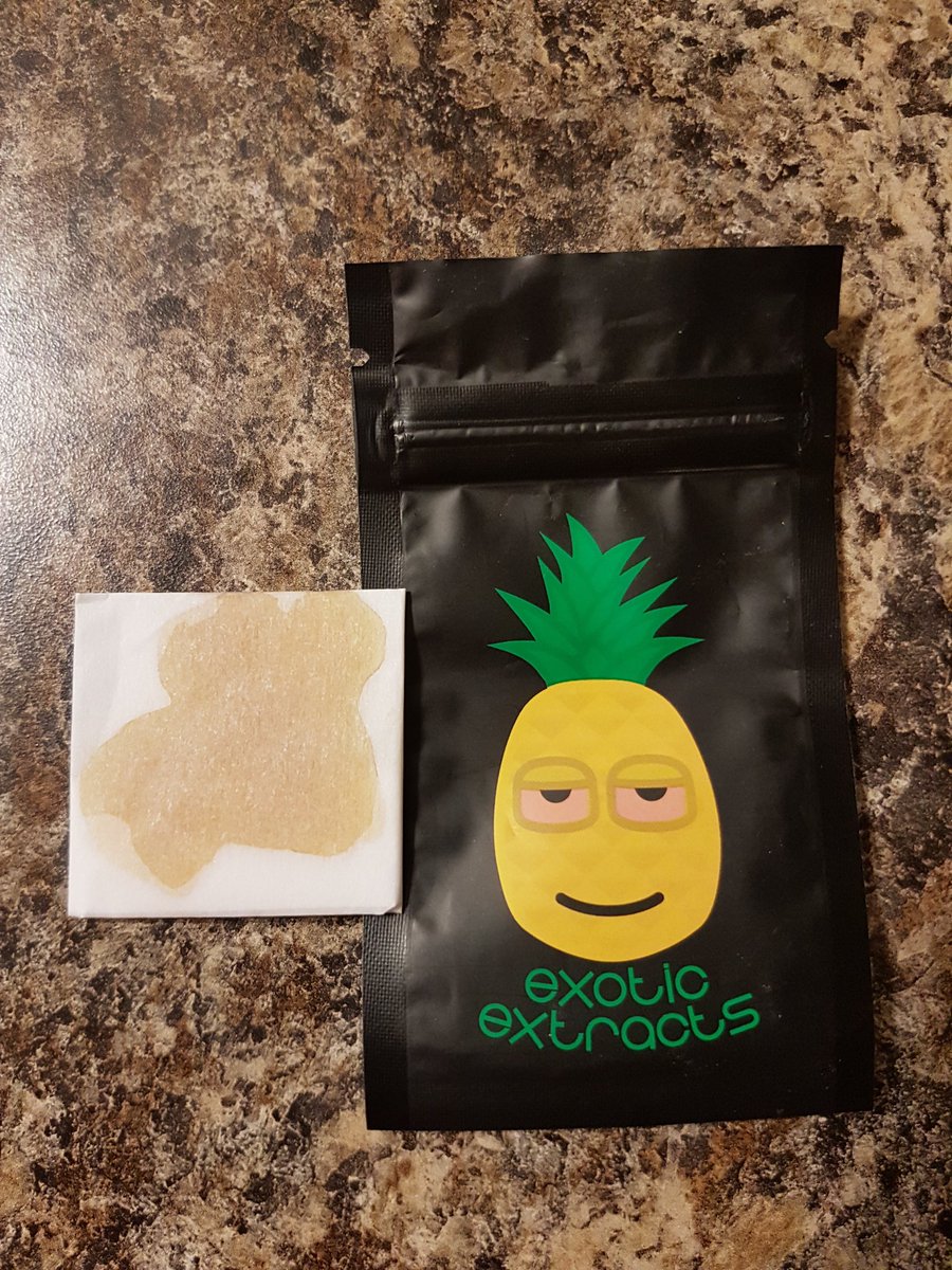 FameRetweets's tweet photo. #SunsetSherbert #indica #shatter from exotic.extracts710 👑🍍

#TrueChron #Chronathon #Medical #TopShelf #highsociety #710society #DabSociety #DailyDabbers #Dabstagram #Dab #Dabs #Dabbing #MedicalMarijuana #Terps #Terpy #weedporn #dabporn #Shatter #TrueChronic #Nugs #Nug #NugRun https://t.co/GEIJTon9Lo