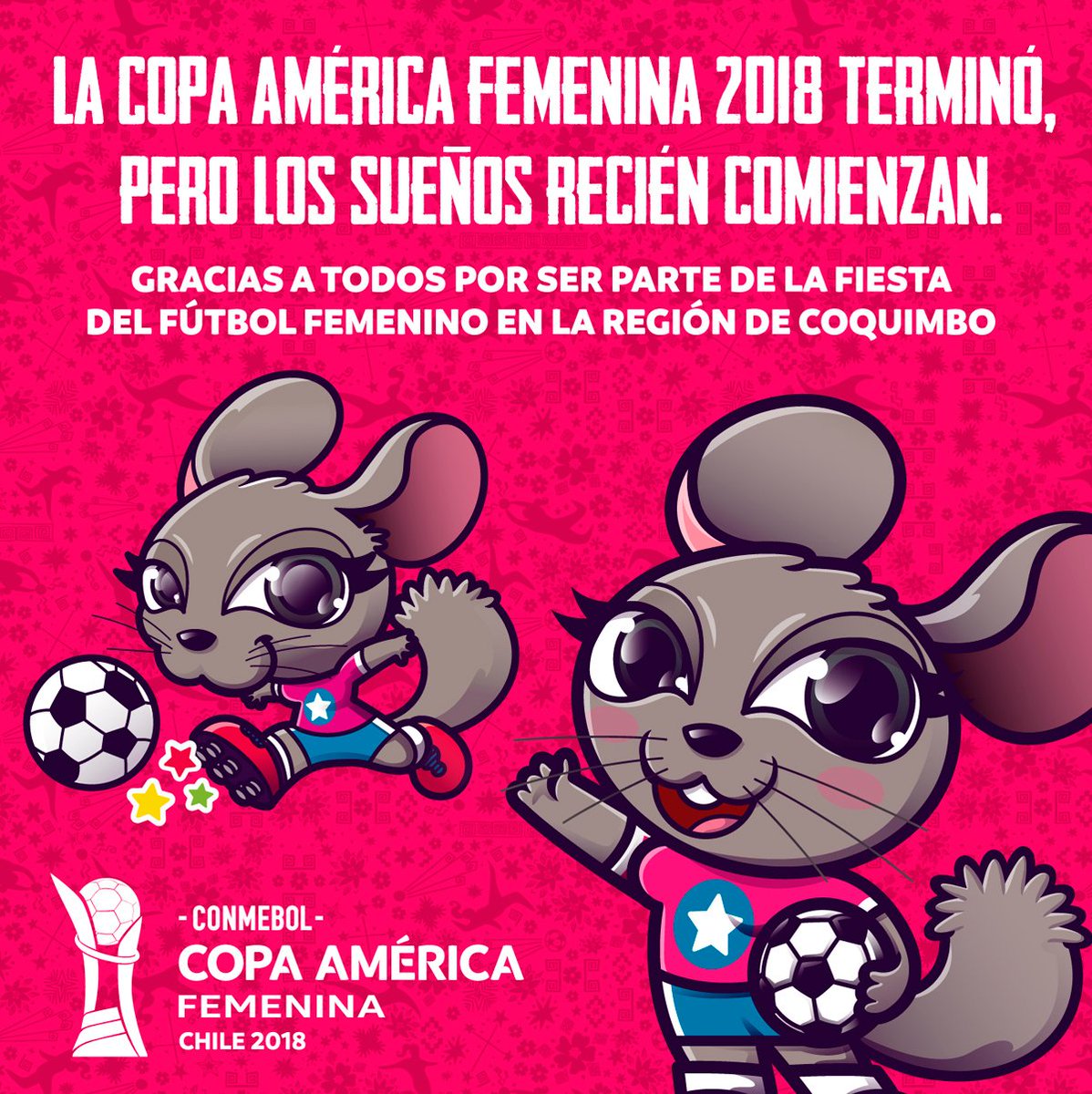 ¡Gabi se despide de todos ustedes con alegría!

🇦🇷🇧🇴🇧🇷🇨🇱🇨🇴🇪🇨🇵🇪🇵🇾🇺🇾🇻🇪

#CopaAmericaFemenina2018