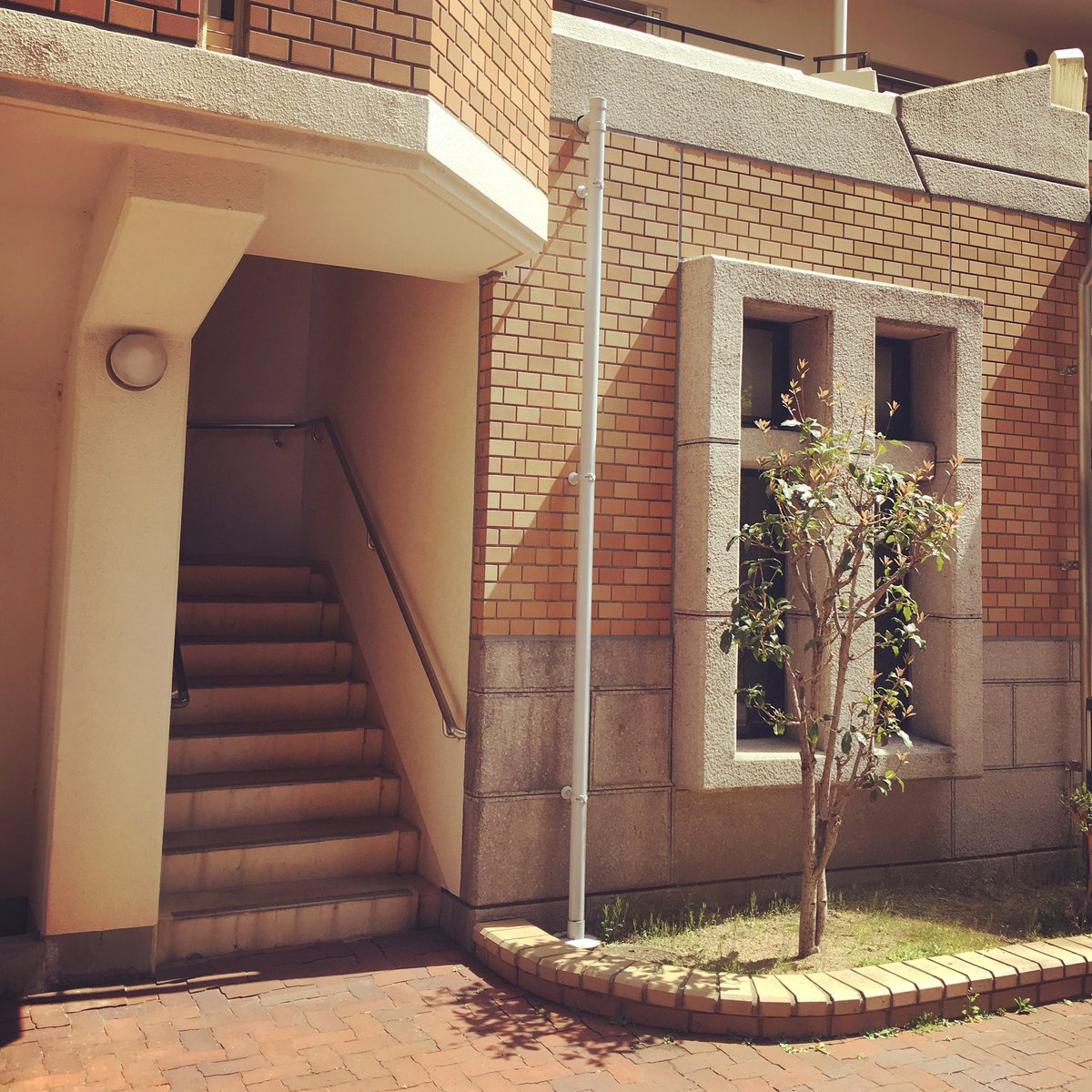 朝野ペコ Ours 編集室 7days Scene ちょっとsfな団地スケッチシリーズ連載第3回目が公開されたよ 今回は さざなみプラザ第7という団地が舞台です ここも取材時は桜がとてもきれいで 静かだし日当たりがよく 本当にいい団地でした T Co