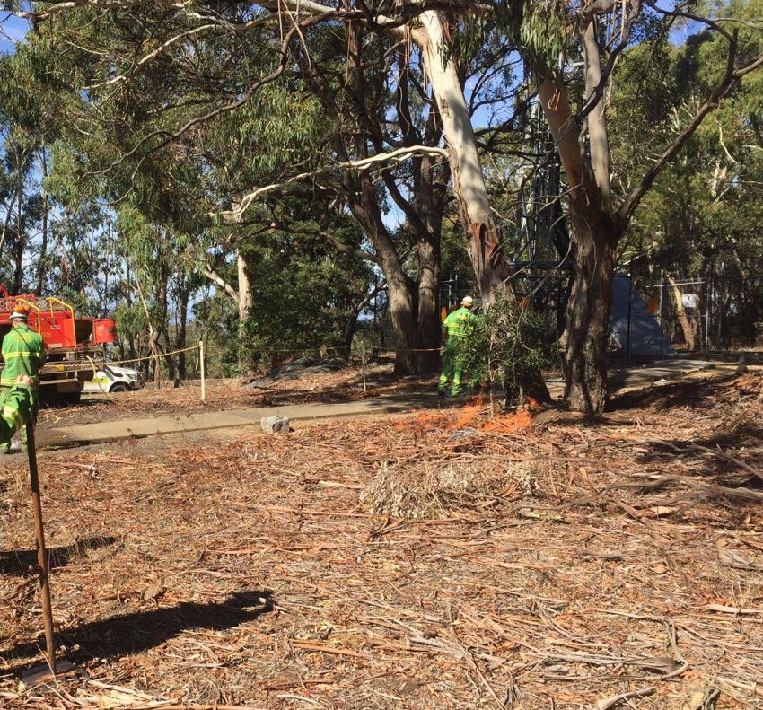 FFMVic's tweet photo. Our crews have ignited the planned burn on Mt Alexander, 4km east of #Harcout and it is progressing well. We will be onsite until the fireground is safe. More info at: https://t.co/NuOd4mnqHO #FFMVic #plannedburning #castlemaine #suttongrange https://t.co/GvTUjHQMwH