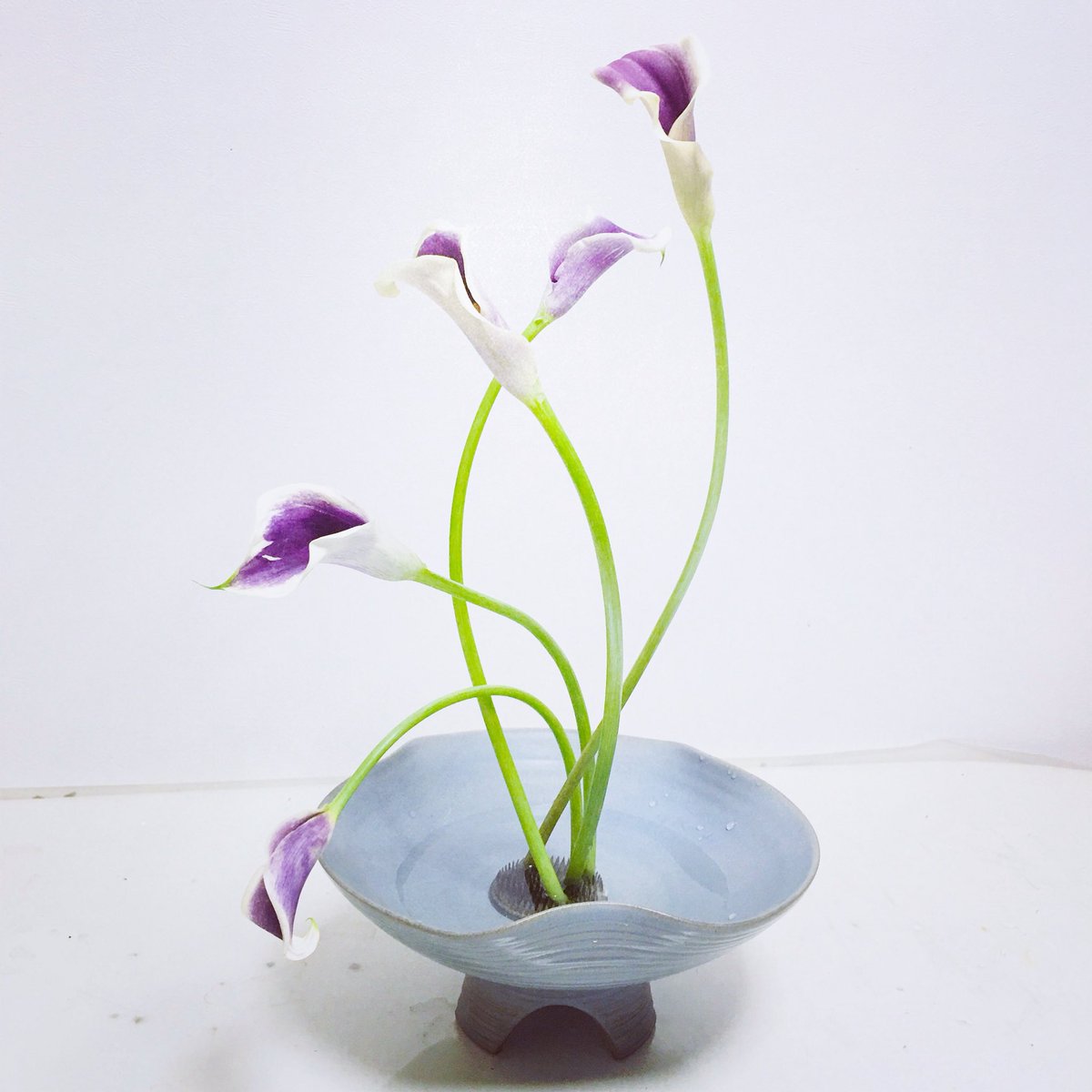 Ikebana Love Na Twitteru 紫のカラーも好きです Love Violet Calla Lily Too 生け花 Ikebanalesson Ikebana Class Tokyo Ikebanasogetsu Ikebanaart Ikebanalove Flowerarrangement 生け花教室 生け花レッスン 生け花に恋して キレの