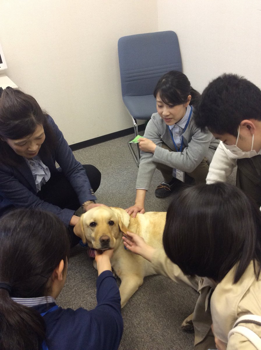 犬には癒し効果がある