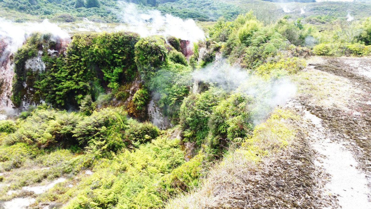 Erica_Odell1's tweet photo. Geothermal activity, New Zealand https://t.co/3f4ZC30Agn