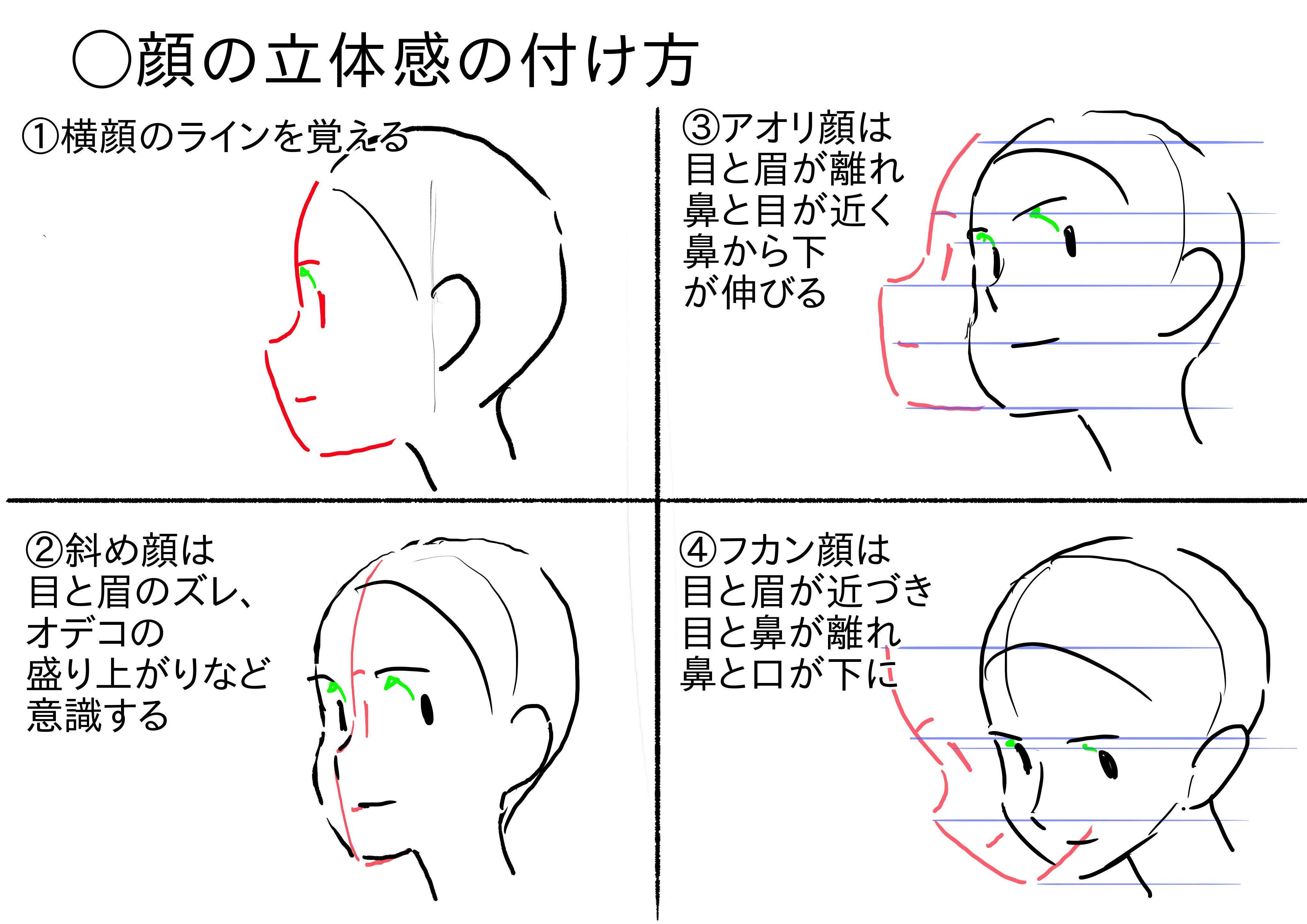 アニメ私塾 顔の立体感の付け方 横顔のラインを覚える 斜め顔は目と眉のズレ オデコの盛り上がりなど意識する アオリ顔は目と眉が離れ鼻と目が近く鼻から下が伸びる フカン顔は目と眉が近づき目と鼻が離れ鼻と口が下に 各々の特徴は角度が付く