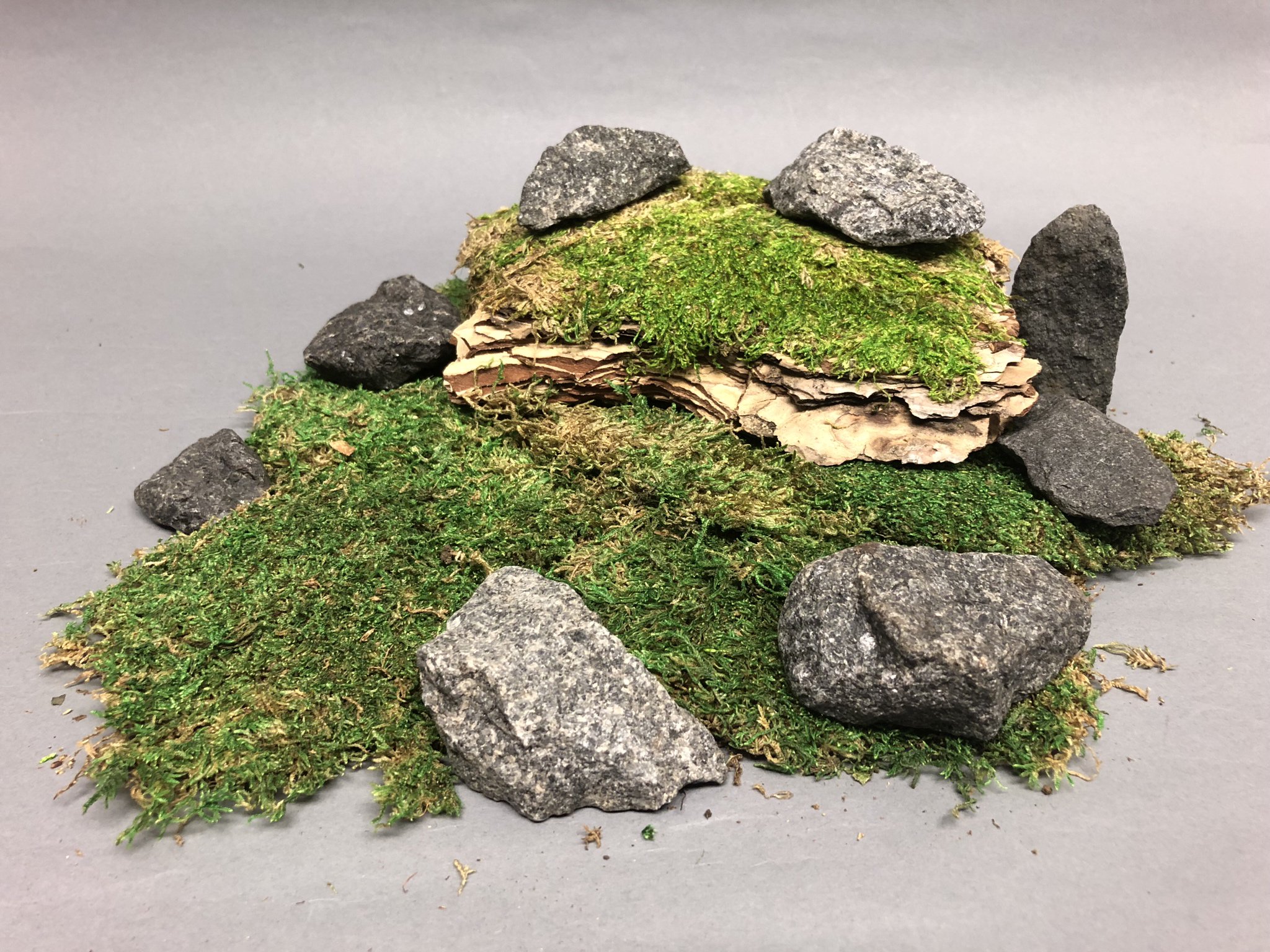 Yakface.com on X: A bit of craft moss, some bark and a couple rocks from  the backyard and a bunch of Porgs #blackseries #hasbro #porgs #thelastjedi   / X