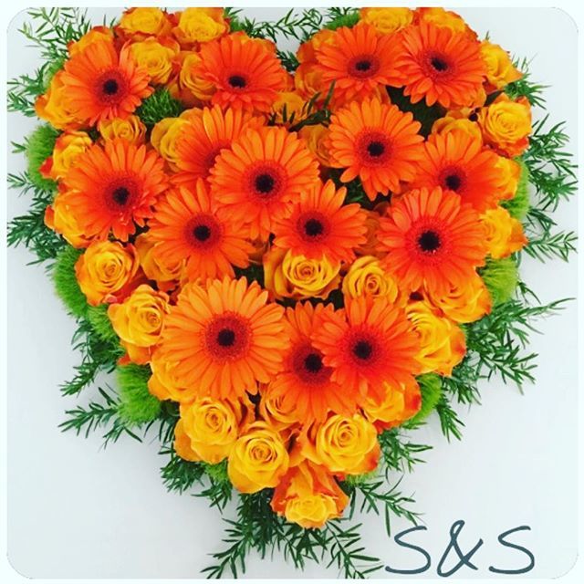 BlumenSanders's tweet photo. Blumen-Herz ❤️ #blumensanders #sandersundsanders
#derholländer #wuppertal #bochum #hagen #dortmund #recklinghausen #witten #solingen #düsseldorf #blumenabo #lieferservice #whatsapp #instagram #facebook #google #youtube #herz #gerbera #rosen#blumenherz #gesteck #blumengesteck… https://t.co/RovimQIMWF
