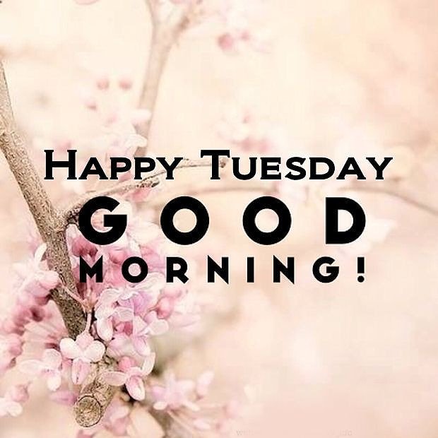 96laurawells's tweet photo. Good morning everyone! ❤️❤️❤️ #TuesdayMorning #Motivation #fitness https://t.co/QFR1GYBjSQ