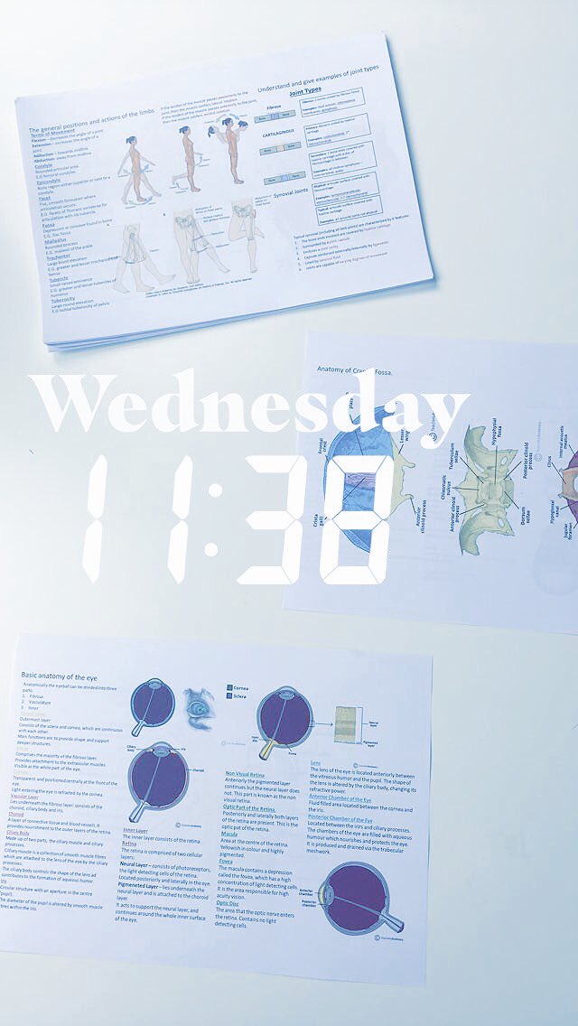 MedStudyHelp's tweet image. 