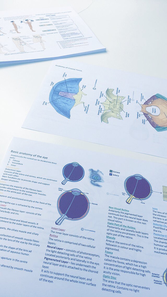 MedStudyHelp's tweet image. 