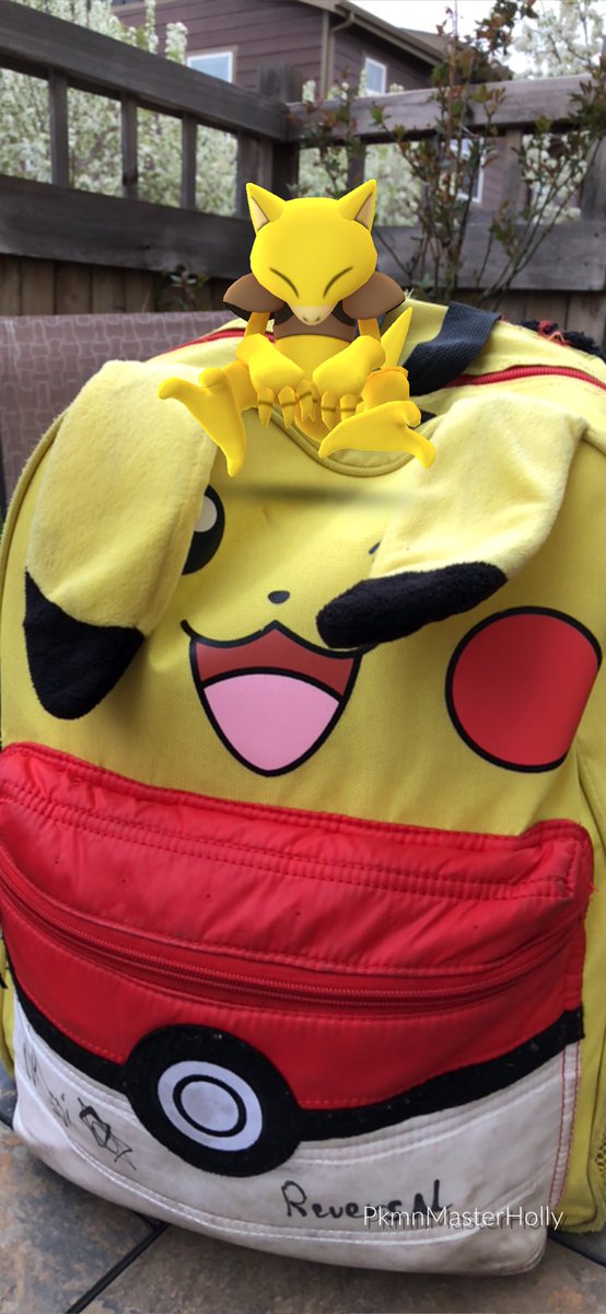 PkmnMasterHolly's tweet image. 📸 #ARPlusMode photos I took while visiting my friend In Denver! Love AR Plus mode so much @PokemonGoApp !!!

#pokemongo