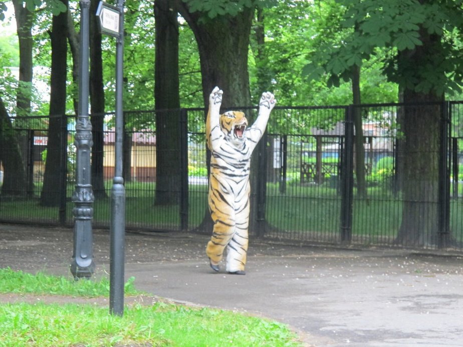 (image)