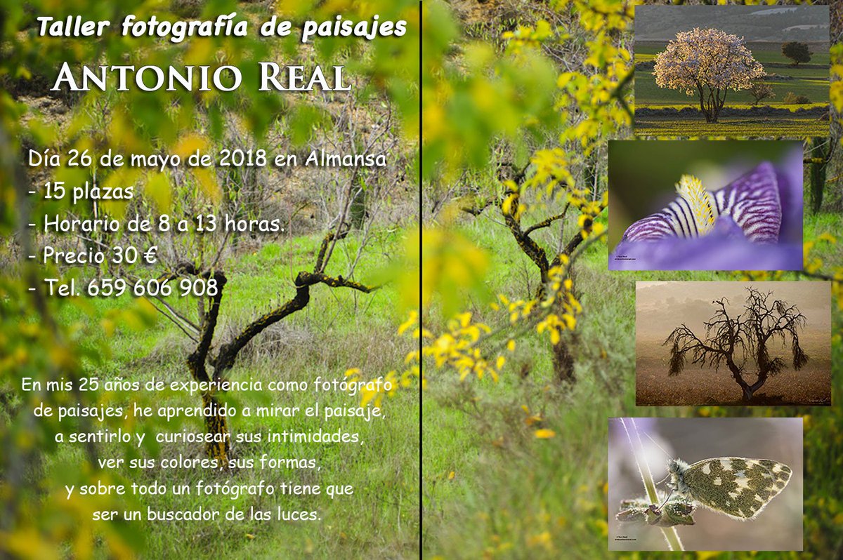 Antoniorealh's tweet photo. Taller de fotografía de paisajes 26 de mayo Almansa (Albacete). Tel. 659606908. https://t.co/13hUtLQQY5 Un fotografo de paisajes tiene que curiosear las intimidades de paisajes, sus colores, sus formas, y sobre todo buscar las mejores luces. https://t.co/20QJvSkQk6