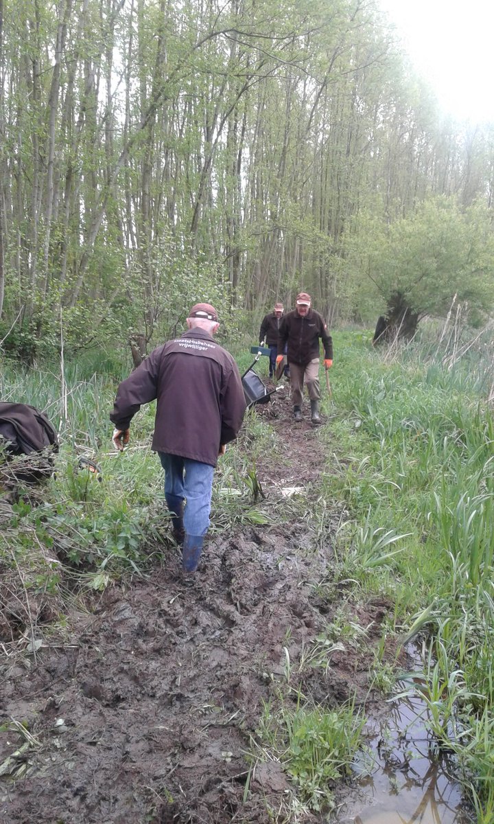 JDrittij's tweet photo. #hoosden midden-Limburg stukje getracht droge voeten houden. https://t.co/HaCCxV5LCG