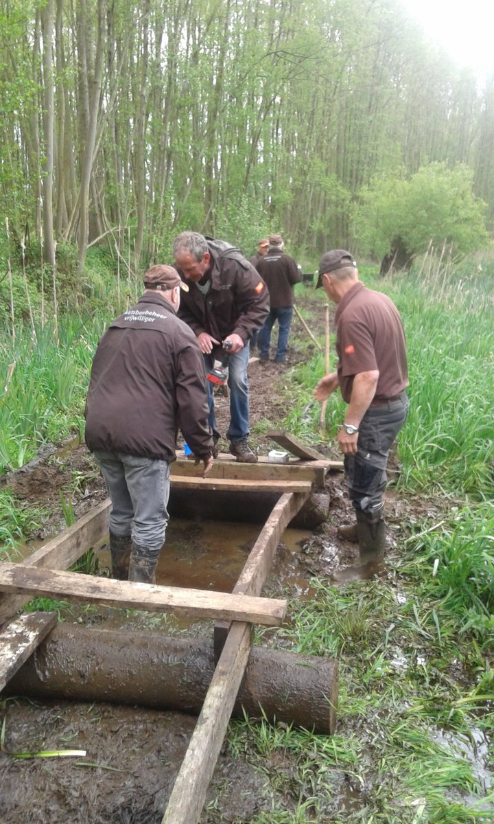 JDrittij's tweet photo. #hoosden midden-Limburg stukje getracht droge voeten houden. https://t.co/HaCCxV5LCG