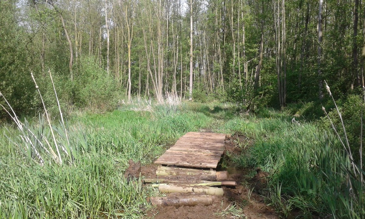 JDrittij's tweet photo. #hoosden midden-Limburg stukje getracht droge voeten houden. https://t.co/HaCCxV5LCG