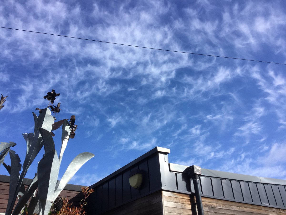 Science@BMS tweet media