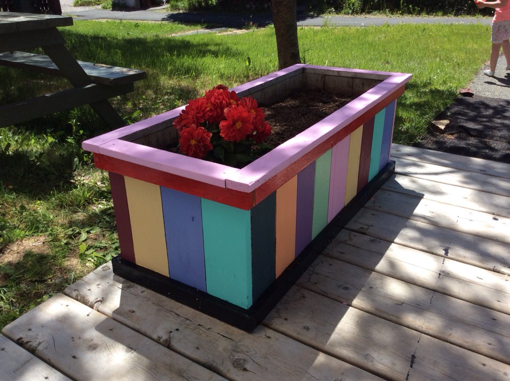 newfiejo's tweet image. Everyone is always welcome at my house.. #rainbow #yyt #cedarplanter