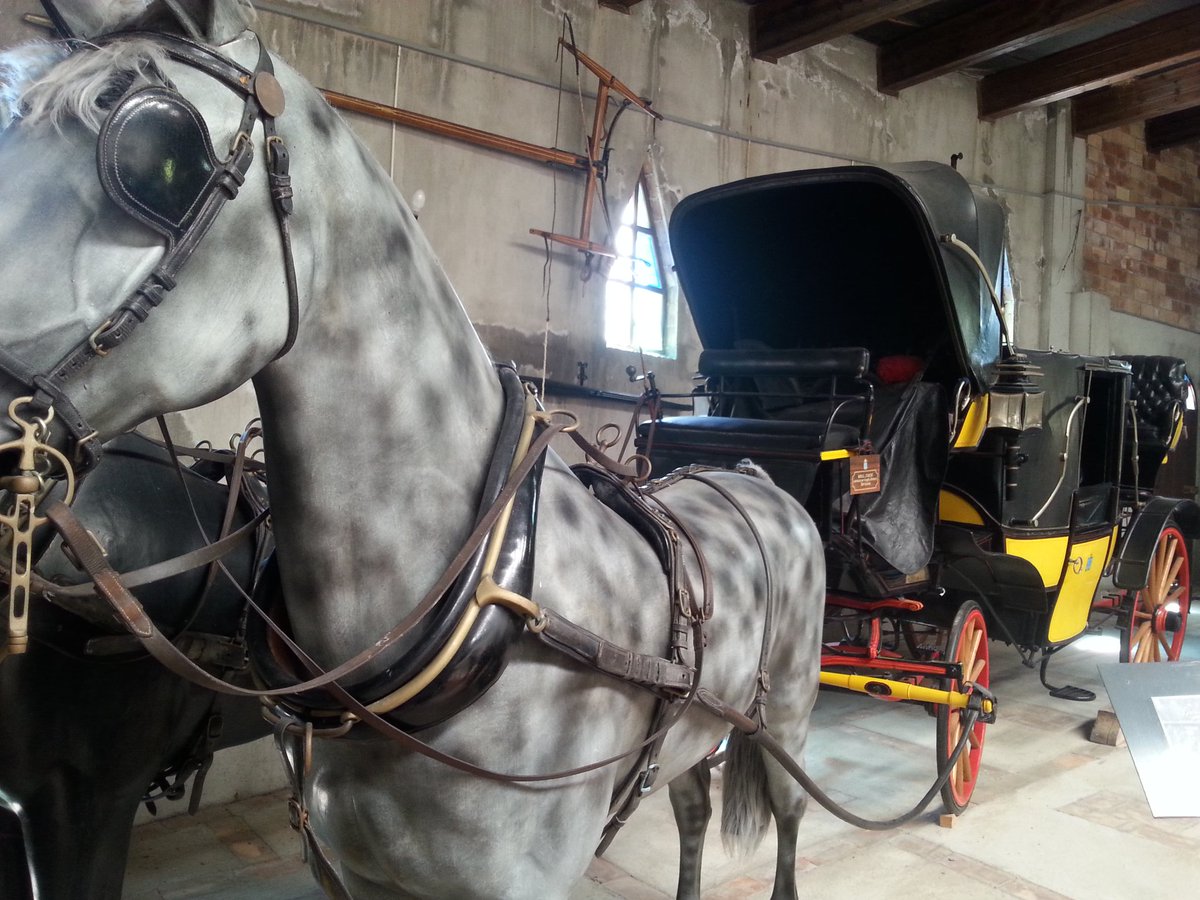 CurcioEfrem's tweet photo. Today visiting the fashinating "Museum of Carriages" in Catanzaro - Calabria https://t.co/pf59VcG5e3