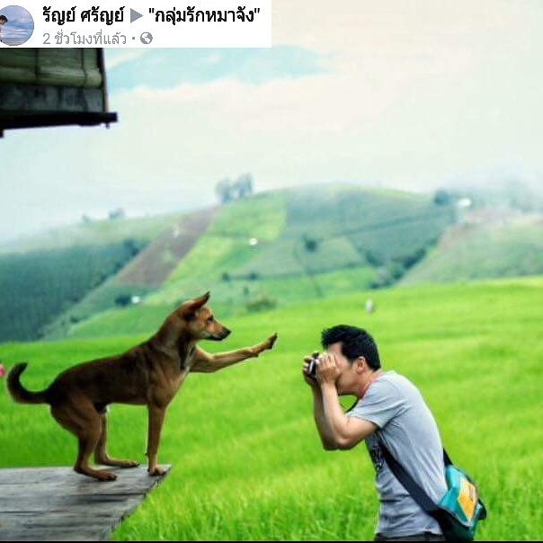 rakmahjung's tweet photo. บอกว่าอย่าเพิ่งถ่าย.. https://t.co/kpnHGMrum4
