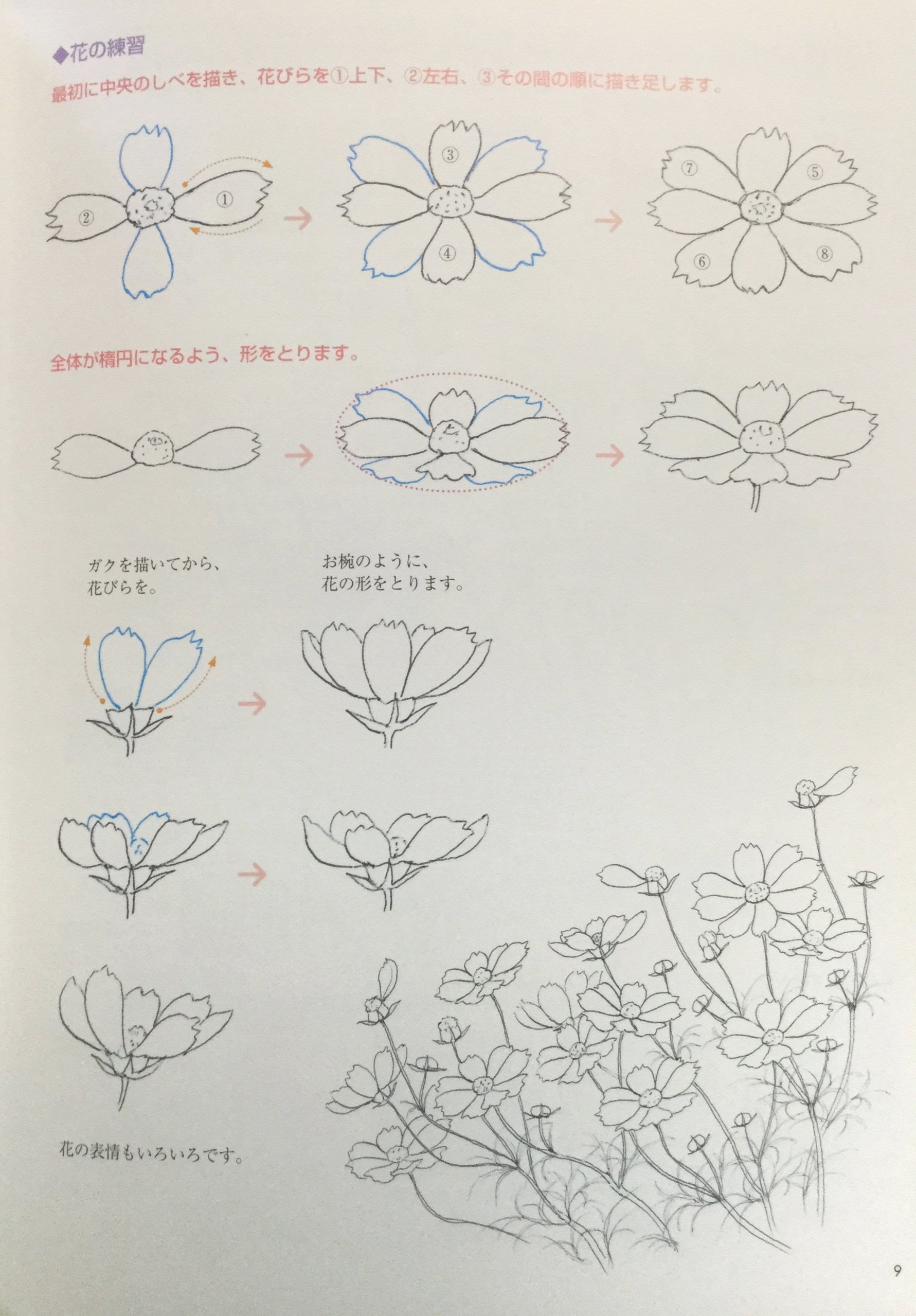 تويتر ちいねこ 万年筆スケッチ デジタルで彩色 على تويتر 最近はこの花絵本を模写練してます 前にこの流派 の方 から聞いたお話によると まず花やつぼみなどパーツの描き方を練習し その組み合わせで絵を構成しているのだとか 確かによくよく見てみると 花