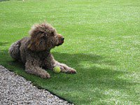 FloorSiteDotCom's tweet image. Our new #Terrazia range of #artificial_grass now launched. Have a perfect lawn all year round with hardly any maintenance.