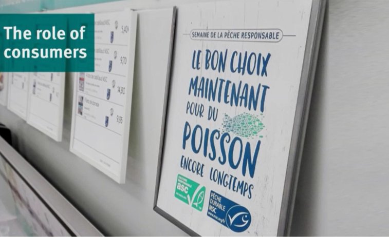 MSCintheUK's tweet photo. "Consumers play a key role in the MSC programme," Guichoux #SeafoodFutures #SEG18 https://t.co/UDAj4wMIX7