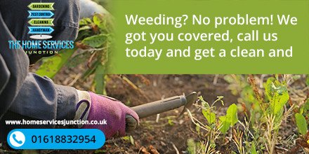 Weeding? No problem! We got you covered, call us today and get a clean and organized backyard!
#weeding #gardening #homeservicesjunction #manchester #warrinton