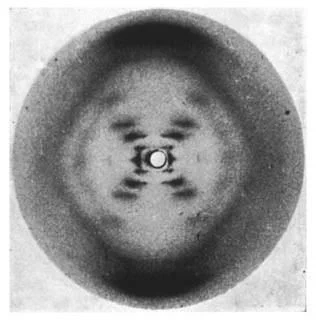 Photo 51, showing x-ray diffraction pattern of DNA