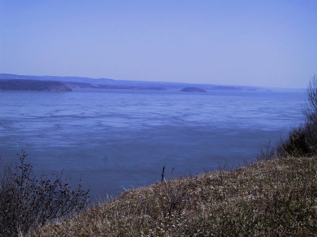 The entrance to Minas Basin is a deeply scoured channel (L pic GSC). At mid-tide (R pic), the current is ca. 4 cubic km/hr, the same as the flow of all of Earth's great rivers combined. 14 billion tons of seawater flow into Minas Basin with each incoming tide.  #MinasBasinTidal.