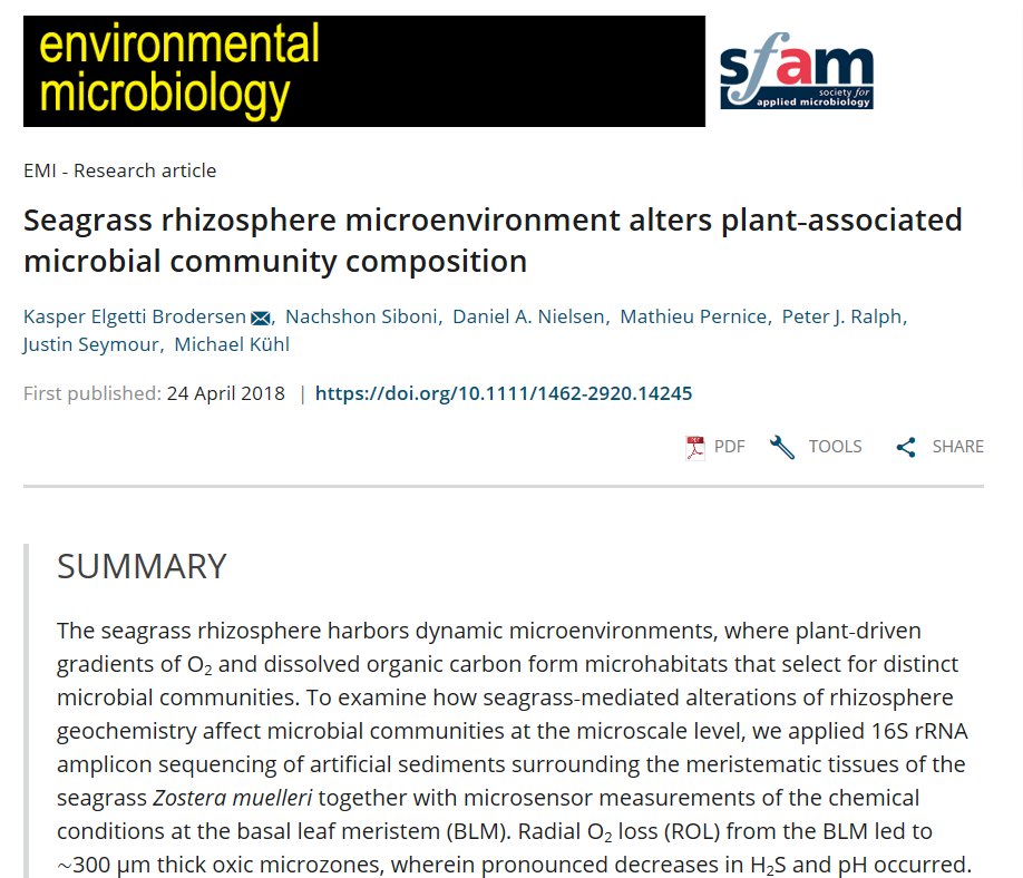 Kasper E Brodersen (@ke_brodersen) on Twitter photo New Paper: "Seagrass rhizosphere microenvironment alters plant‐associated microbial community composition" - enabling potential higher rates of sediment detoxification and nutrient mobilisation in the #seagrass rhizosphere onlinelibrary.wiley.com/doi/abs/10.111… <a href="/MicroSensing/">MicroEcology Lab</a> <a href="/Carlsbergfondet/">Carlsbergfondet</a> New Paper: "Seagrass rhizosphere microenvironment alters plant‐associated microbial community composition" - enabling potential higher rates of sediment detoxification and nutrient mobilisation in the #seagrass rhizosphere onlinelibrary.wiley.com/doi/abs/10.111… <a href="/MicroSensing/">MicroEcology Lab</a> <a href="/Carlsbergfondet/">Carlsbergfondet</a>