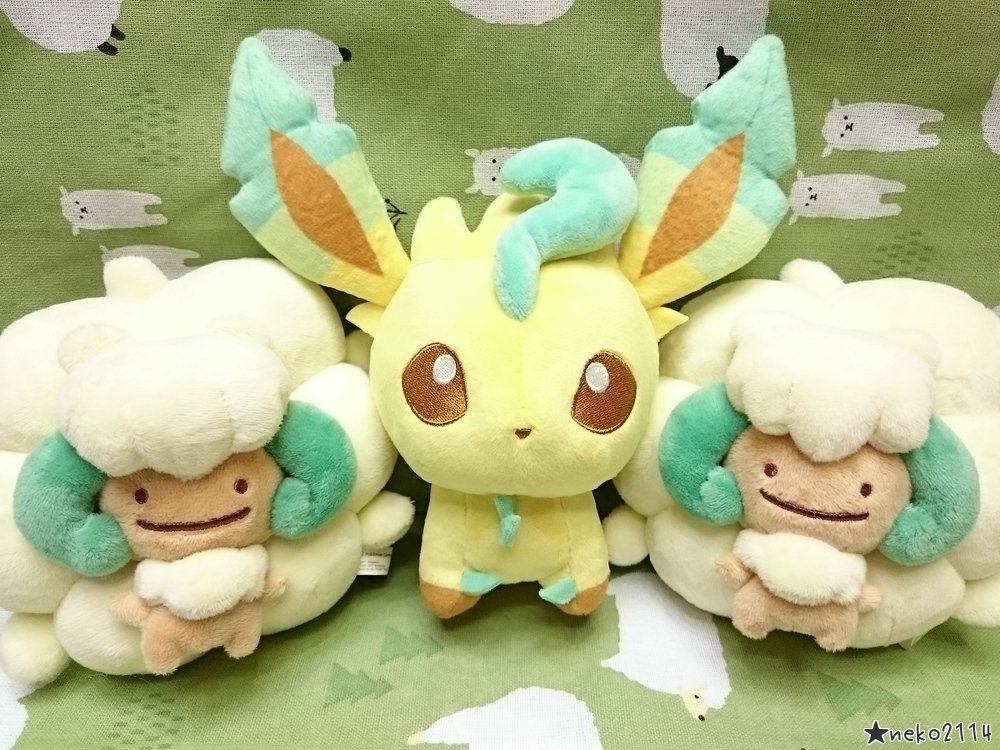 猫楓と春巻きちゃんでにゃっしょい Fwf ぬいぐるみ撮り ぬい撮り ポケモンぬい撮り プロジェクトイーブイ もふもふ もこもこをテーマに撮ってみたぬい撮り第七弾はリーフィア エルフーン です 同じ草タイプ同士でぬい撮りしたはずが もふもふ