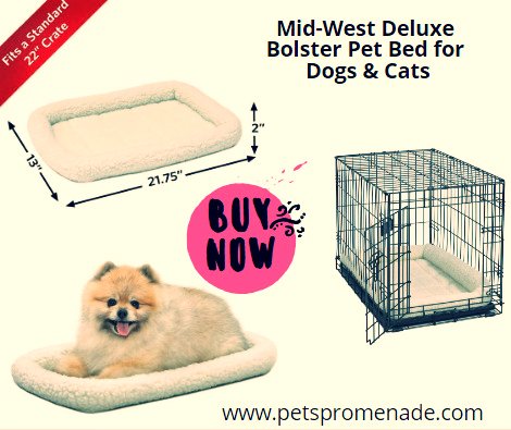 pets_promenade's tweet photo. Give your pooch a place of his own to rest with the Midwest Quiet Time Deluxe Double Bolster Dog Bed.
These comfortably padded pet beds are ideal for most standard folding metal dog crates, dog.
Shop now >> https://t.co/y9BlGpr1Mw
#Online #PetStore #Accessories #PetsBed #Dog https://t.co/LOkK1IaJ8b