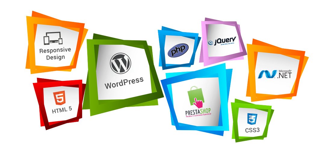 Vsf Marketing Web Designers Tampa