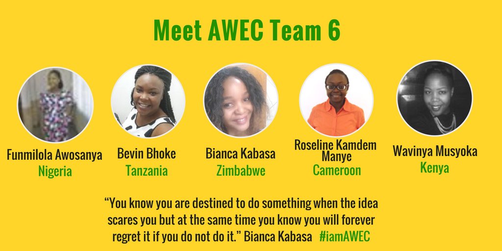 WeAreAWEC's tweet image. Meet Team 6 #AWEC1, who have businesses in Marketing, Publishing, Retail and Other. “You know you are destined to do something when the idea scares you but at the same time you know you will forever regret it if you do not do it.” Bianca Kabasa #iamAWEC
