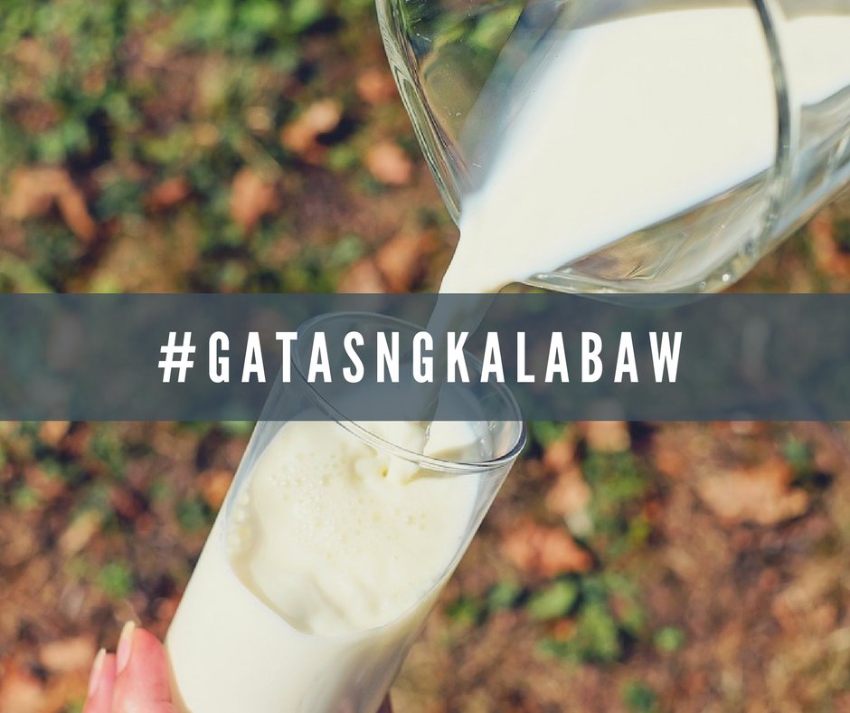 Milk as an aphrodisiac? Thats according to Ayurveda. Visit us at Gentri's Best, Santiago, General Trias Cavite for more details.buff.ly/YAWw3Q
#carabao #freshmilk #GeneralTrias  #gatasngkalabaw #gentrisbest #organic #grassfed