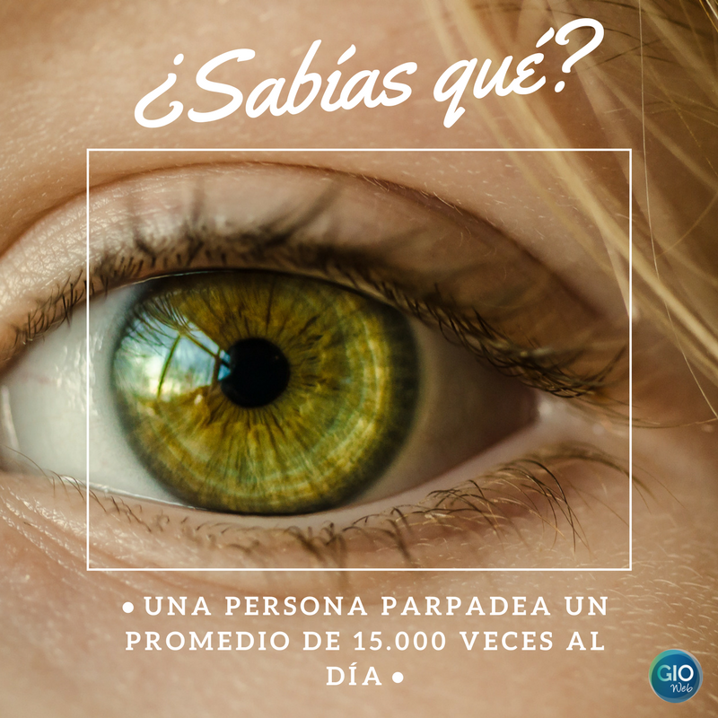 Deipe_SL's tweet photo. ¿Sabías qué? 

Una persona parpadea un promedio de 15.000 veces al día

#Opticas #SubeTuOpticaAlaNube #GIOWeb https://t.co/C7DqQTbmxG