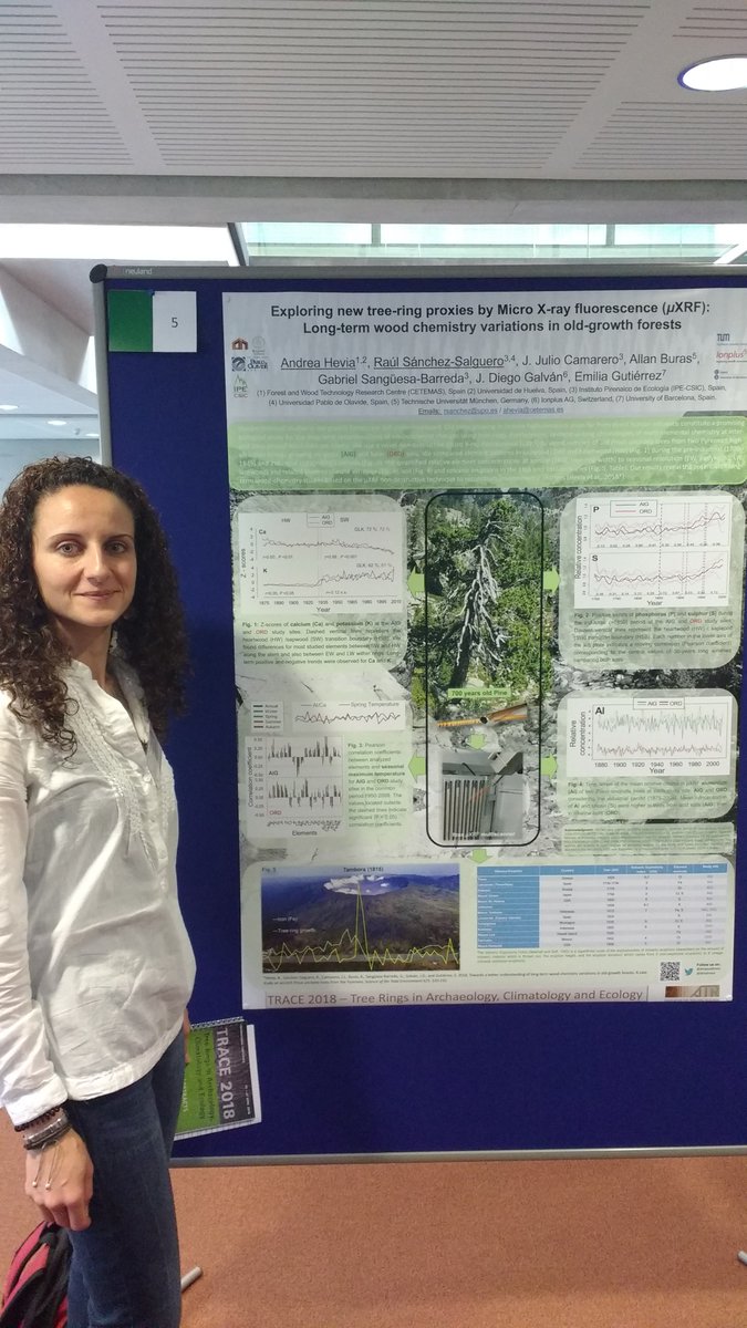 dendrosur's tweet photo. @AHwoodtrees @dendrosur @2xeu New #treerings proxies #dendrochemistry with #ITRAX in @TRACE2018 @pablodeolavide @IPE_CSIC https://t.co/EmIRft8Bxz