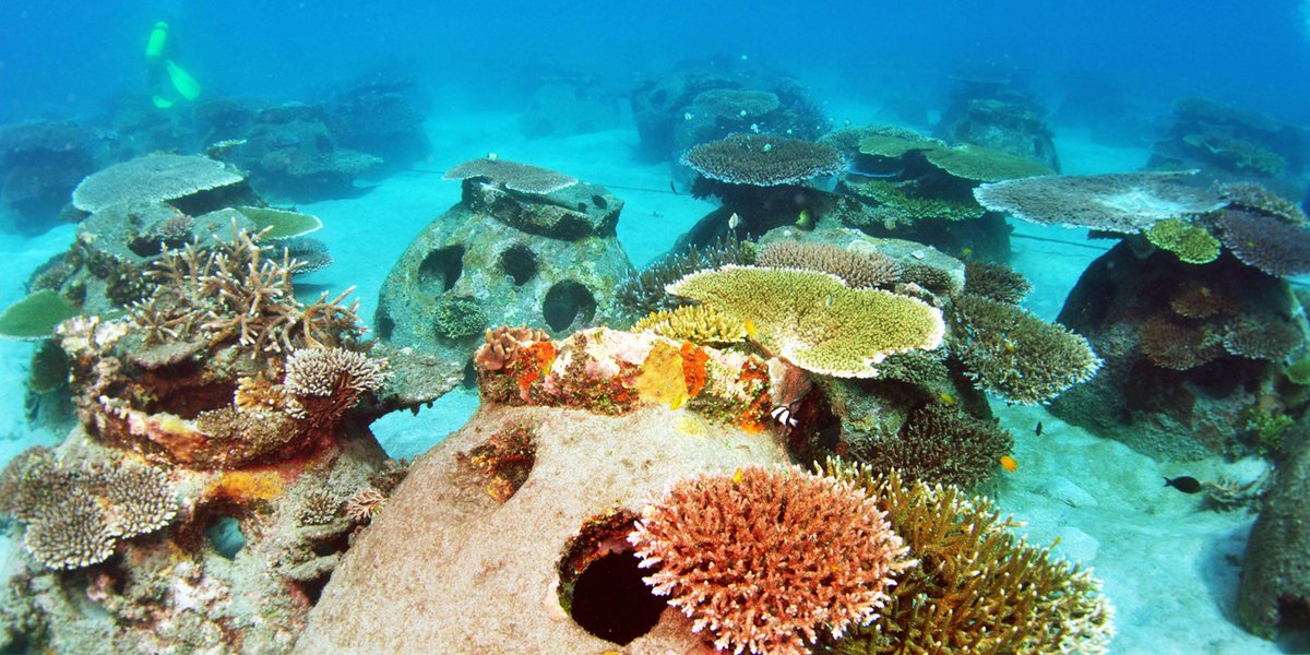  Gambar  Pemandangan  Ikan Bawah  Laut 