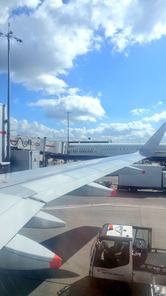 fearAndCoding's tweet image. Why is it sniffing the airport?