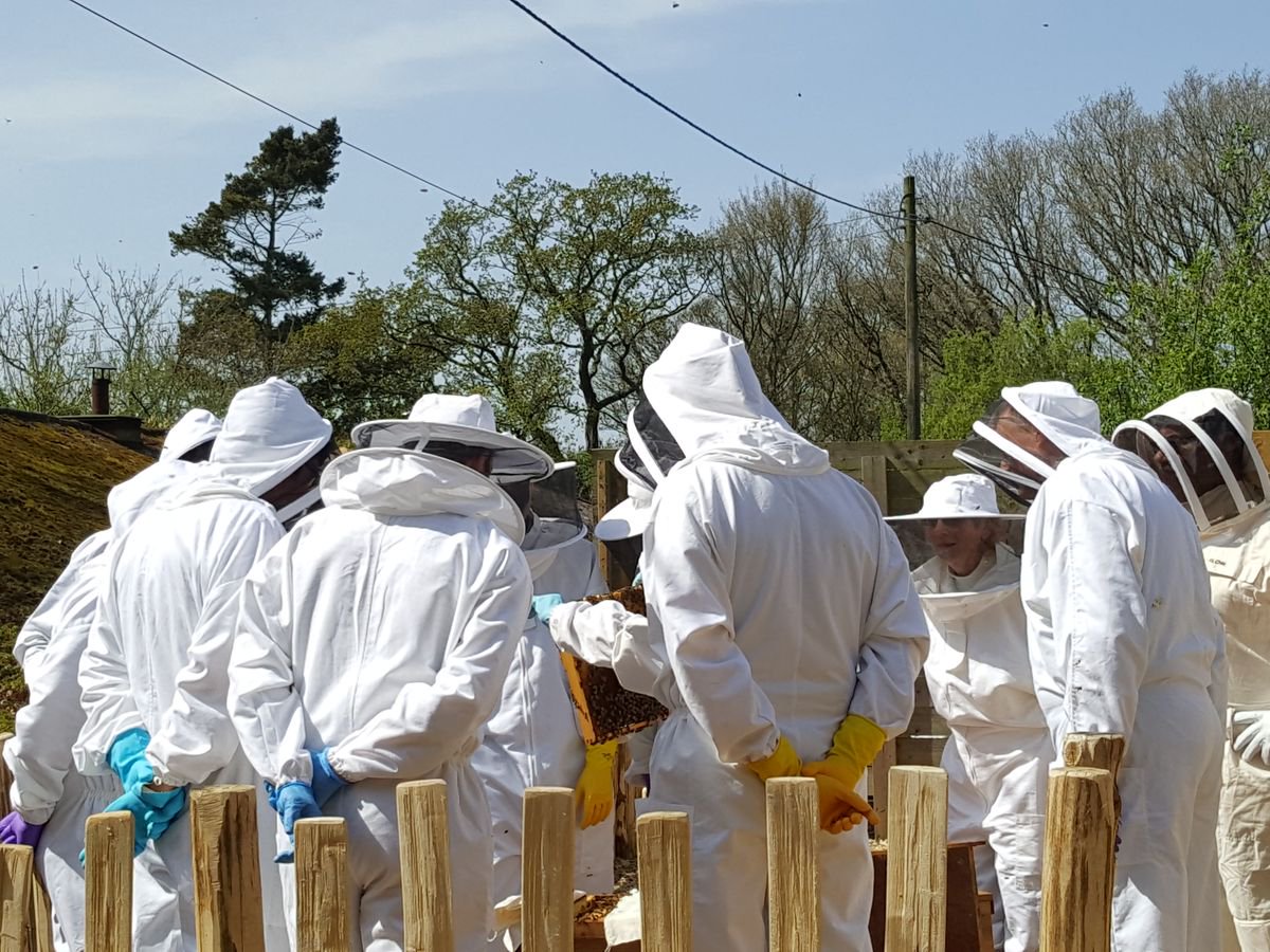 MantelFarm's tweet photo. If you have a basic understanding of #beekeeping and would like a refresher, our refresher beekeeping course is for you. An ideal day spent with other new beekeepers, discussing key steps for the start of the season. https://t.co/vl67fdXmTl 🐝🍯 @BexhillThings1 @1066Tweets https://t.co/wVRVhMIcW9