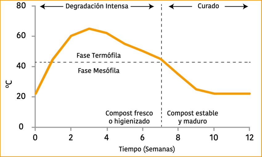 SEMENTES INFORMATIVAS

📢📢Xetiña!! Lembrade que cando dispoñemos de grandes volumes de masa compostada, o mesmo montón pode proveernos diferentes tipos de #CompostDaCasa xa que está en diferentes fases de desgradación ou estabilización. 

Foto de Germán Estrada Bonilla