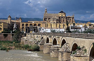 Eleonora Rosati tweet media