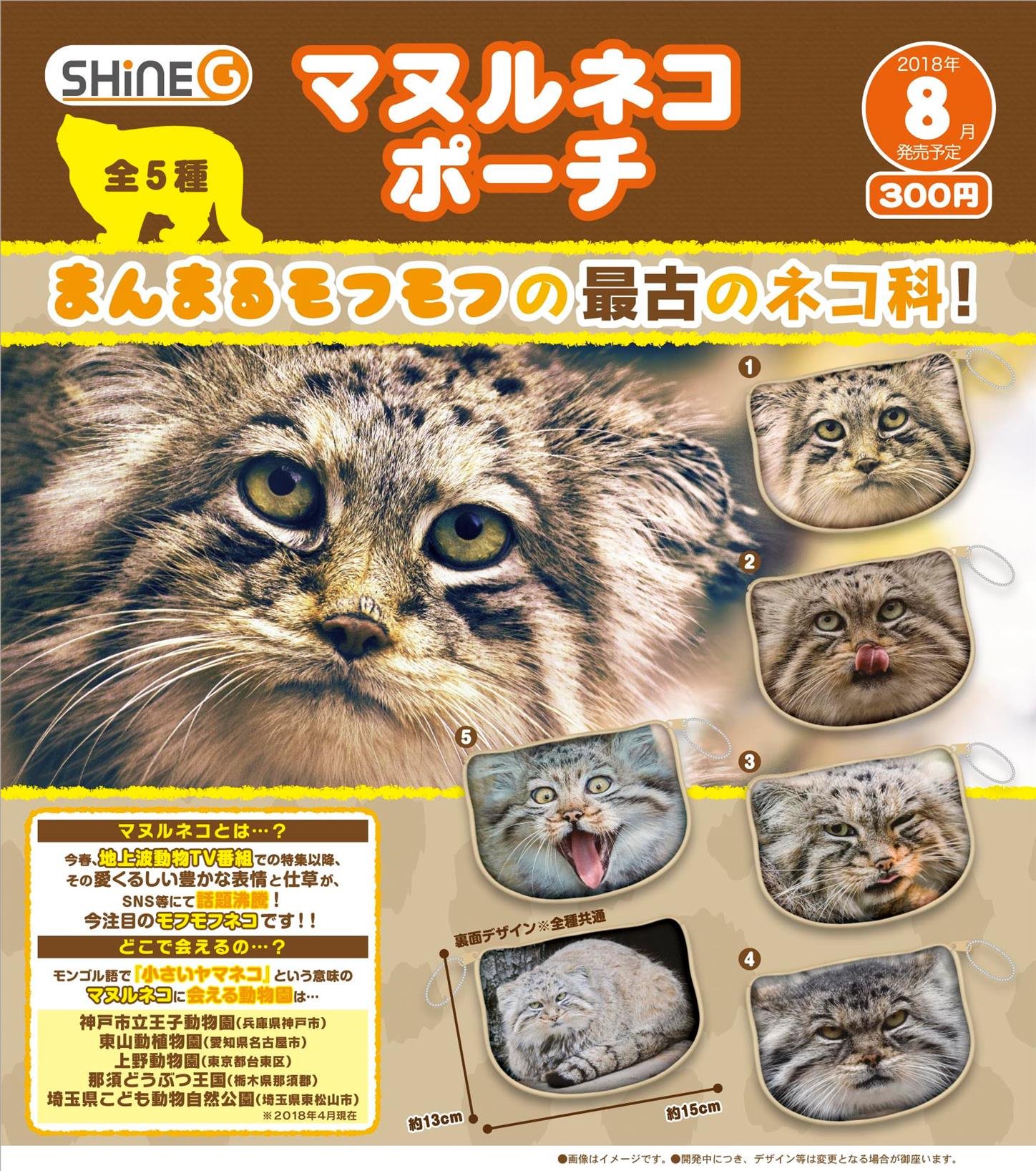 シャイング カプセル玩具 新企画速報 8月発売予定 1回300円 まんまるモフモフ最古のネコ科 マヌルネコ がポーチになってカプセルトイに登場 かわいいから面白いまで 表情豊かな全5種 ボールチェーン付 ガチャガチャ カプセルトイ ポーチ
