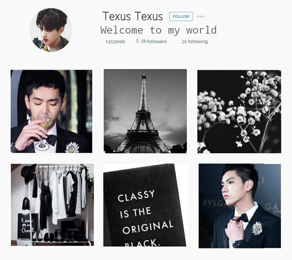TEXUS🔥|สิงบอทหลัก tweet media