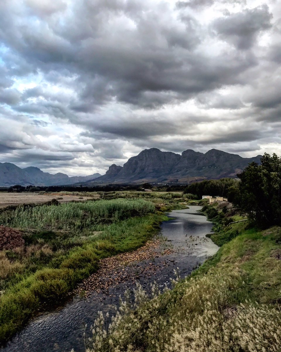 RykNeethling's tweet photo. Berg River running through @valdevieestate and more rain on the way https://t.co/cZ1SdqPcHE