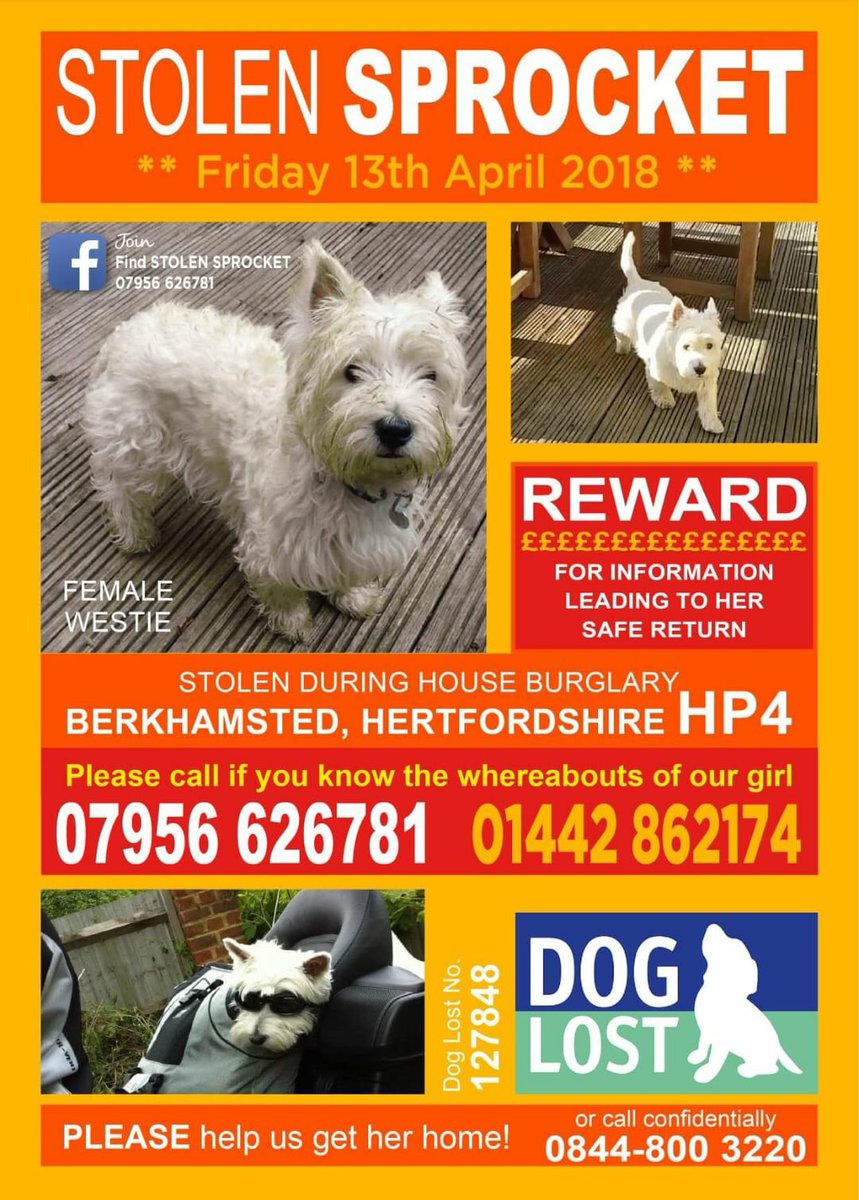 mrslglee's tweet photo. @reallorraine please retweet https://t.co/CavuRKVY5a